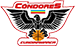 Condores de Cundinamarca